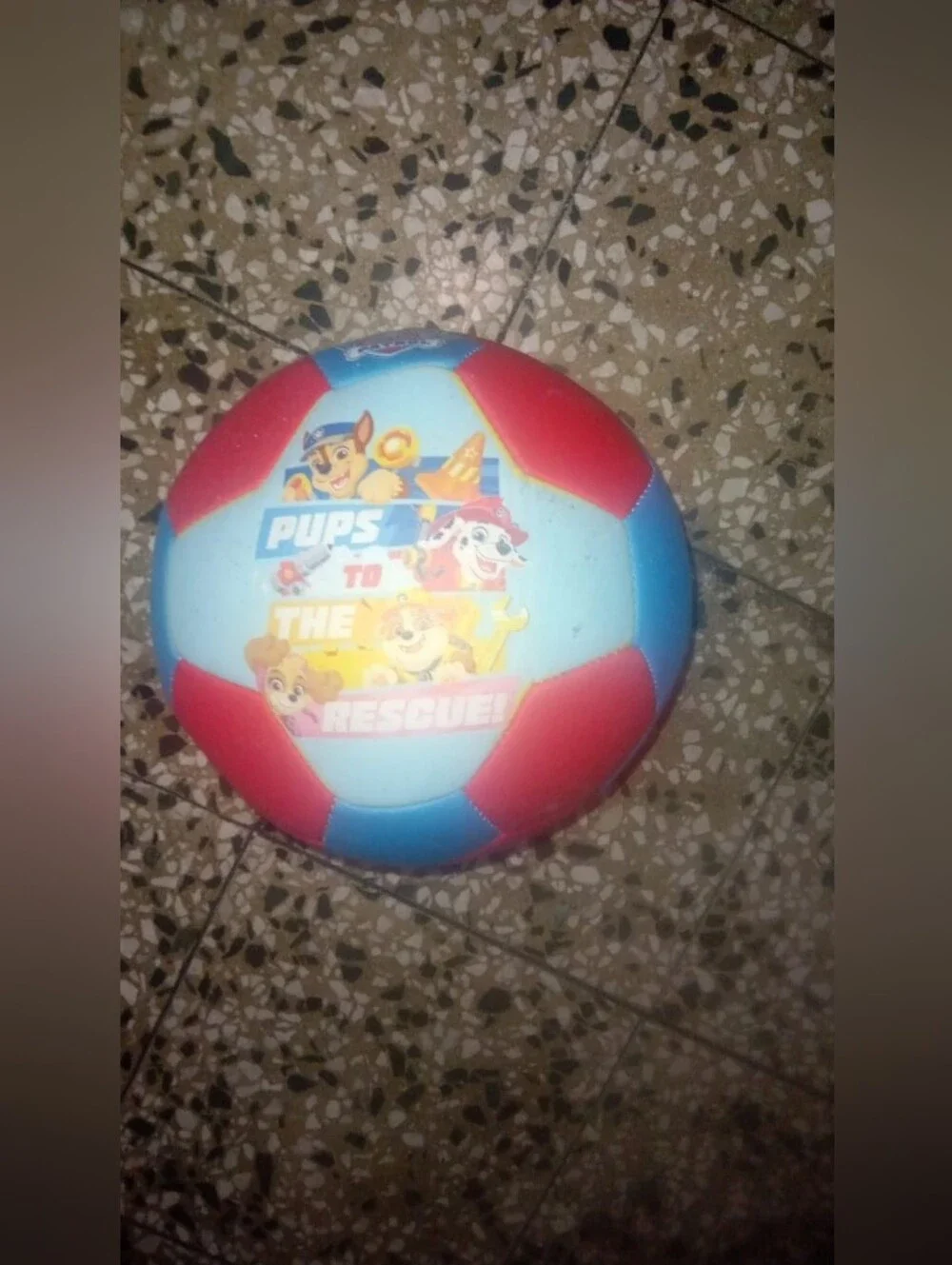 Paw Patrol Blue & Red Kids Soccer Ball with Pups Graphic